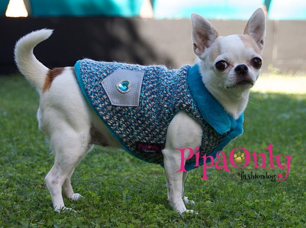 pipa-only-ropa-perros