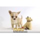 HUSHKIES PLUSH LABRADOR