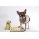 HUSHKIES PLUSH LABRADOR