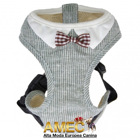 ARNES VERDE Y LAZITO