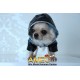 CHUBASQUERO SPORT DOG