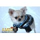 CHUBASQUERO SPORT DOG
