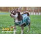 CAMISETA TOP DOG CROWN