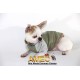 T-SHIRT PET SKULL