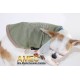 T-SHIRT PET SKULL