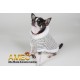 SUDADERA CON CAPUCHA