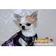 PRINCESS DOG PURPLE DRESS