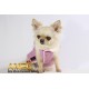 ZOE JACKET