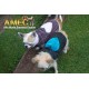 GINGER LOVE JACKET