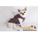 GINGER LOVE JACKET