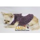 GINGER LOVE JACKET