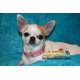 COLLAR ELEGANTE PERLAS